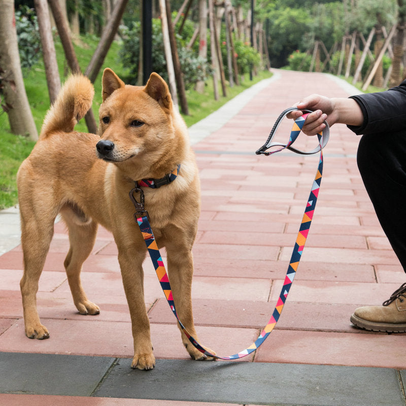 Discover the Perfect Pet Leash for Your Furry Friend