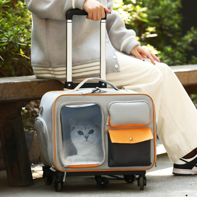 Discover the Ultimate Anti-Stress Pet Trolley Backpack