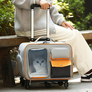 Discover the Ultimate Anti-Stress Pet Trolley Backpack