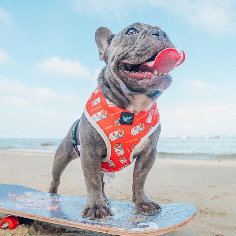 Unleash Comfort and Style with Our Pet Chest Harness Leash