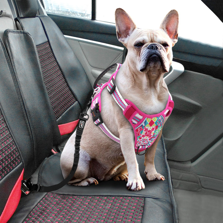 Discover the Ultimate Comfort with Our Adjustable Pet Harness Leash