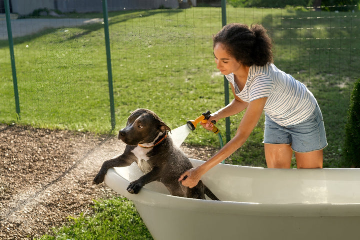 Keep Pets Fresh With Gentle Bath Supplies